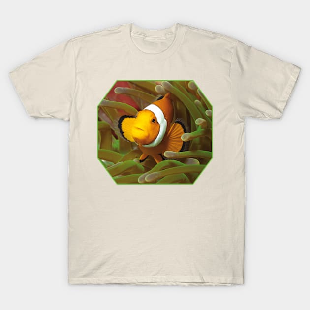 Anemone fish | I'm living here! | T-Shirt by Ute-Niemann